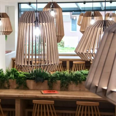 20250312103219 Img 9729